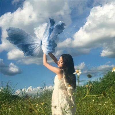 大地飞鹰 海报